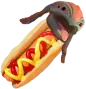 hotdoggo