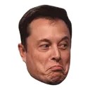 elon