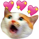 Cat_aaaaaaaa