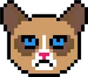 grumpycat grumpycat
