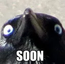 Soon