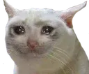 sad2