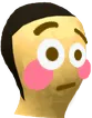 shelflushed