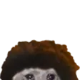 TriCatLurk