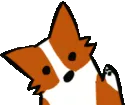 corgiwave
