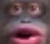 :black: Discord Emote
