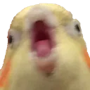 Screm