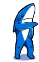 shark21