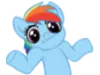 ponyshrug