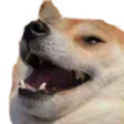KekDoggo