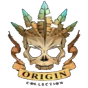 skinC5_origin