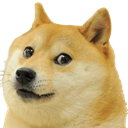 doge