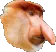 polak polak