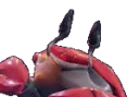 anCrabHypeA