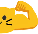 meowflexR