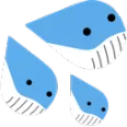 whalecum