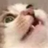 Ohgodsaveme