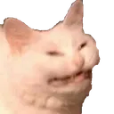 Neko neko Discord Emoji