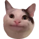 ok