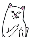 fuckcat Discord Emoji