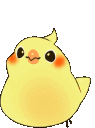 ggbirdbounce