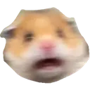 MonkaHamster