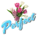 w_perfect