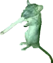 buddylittle