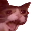 AAAAAAAA AAAAAAAA
