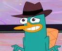 perryshrug perryshrug