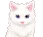 catclean