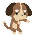 dog_floss