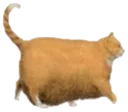 chonk