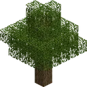 OakTree