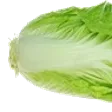 seanprLet