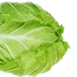 seanprTuce
