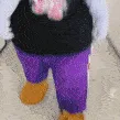 fatsoo