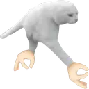 wenuwalkin