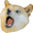 doggo