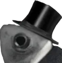 mr_fish