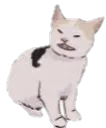 banan