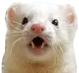 gasp