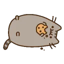 pusheen_cookie pusheen_cookie