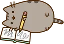 pusheennotes