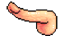 :AnimatedSexRainbowDick: Discord Emote