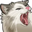 MagnusYawn