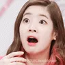 dubu_shock dubu_shock