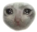 sad