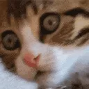 gasp