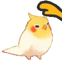 pat